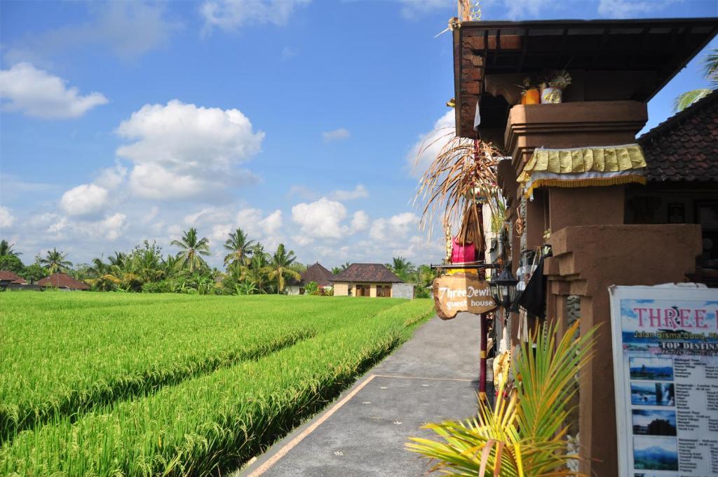 Three Dewi's Guest House Ubud Exterior foto